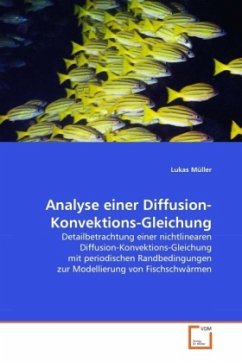 Analyse einer Diffusion-Konvektions-Gleichung