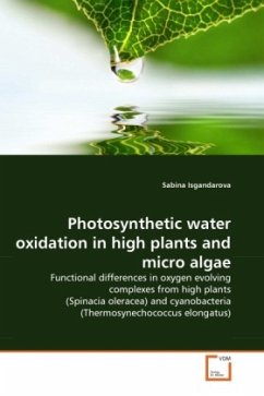 Photosynthetic water oxidation in high plants and micro algae - Isgandarova, Sabina