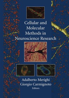 Cellular and Molecular Methods in Neuroscience Research