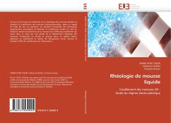 Rhéologie de mousse liquide - Ataei Talebi, Shirin;Quilliet, Catherine;Graner, François