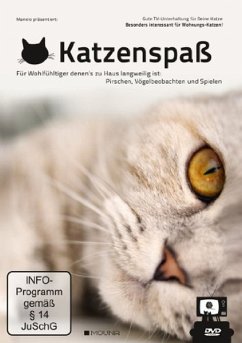 Katzenspaß: Gute TV-Unterhaltung für Deine Katze