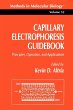 Capillary Electrophoresis Guidebook - Bild 1