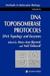 DNA Topoisomerase Protocols - Bild 1