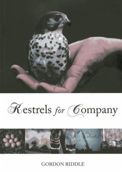 Kestrels for Company - Riddle, Gordon