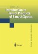 Introduction to Tensor Products of... - Bild 1