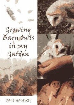 Growing Barn Owls in My Garden - Hackney, Paul