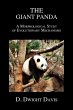 The Giant Panda - Bild 1