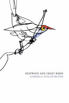 Heatwave and Crazy Birds - Avigur-Rotem, Gabriela
