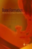 Bone Formation