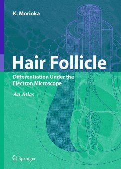 Hair Follicle - Morioka, K.