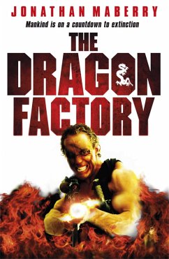 Cover The Dragon Factory