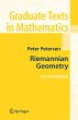 Riemannian Geometry - Bild 1