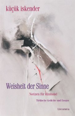 Weisheit der Sinne. Notizen für Rimbaud - kücük, iskender