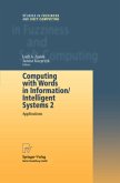 Computing with Words in Information/Intelligent Systems 2