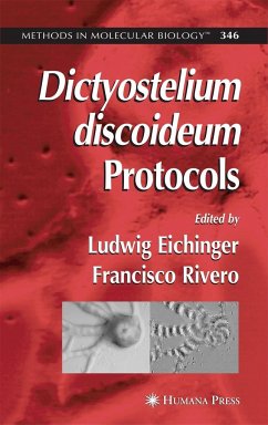 Dictyostelium Discoideum Protocols