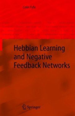 Hebbian Learning and Negative Feedback Networks - Fyfe, Colin