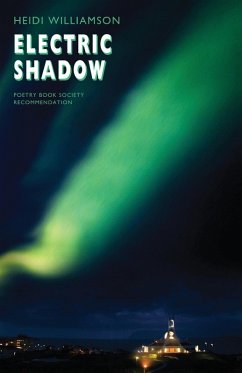 Cover Electric Shadow