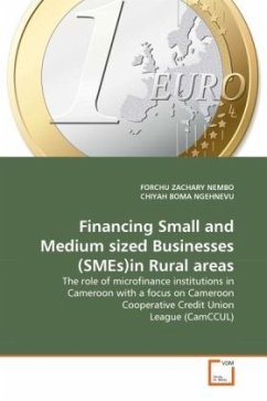 Financing Small and Medium sized Businesses (SMEs)in Rural areas