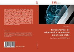 Environnement de collaboration et mémoire organisationnelle - Leblanc, Adeline