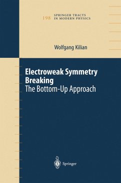 Electroweak Symmetry Breaking - Kilian, Wolfgang