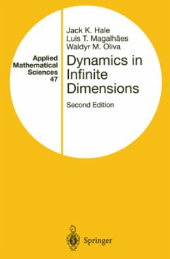 Dynamics in Infinite Dimensions - Hale, Jack K.;Magalhaes, Luis T.;Oliva, Waldyr