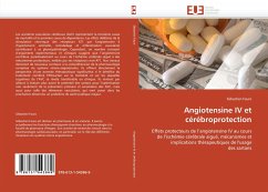 Angiotensine IV et cérébroprotection - Faure, Sébastien