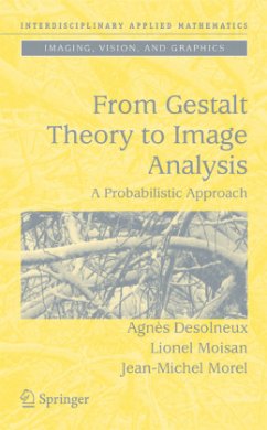 From Gestalt Theory to Image Analysis - Desolneux, Agnès;Moisan, Lionel;Morel, Jean-Michel