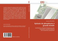 Epitaxie de phosphures à grande échelle - DHELLEMMES, Sébastien