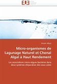 Micro-organismes de lagunage naturel et chenal algal à haut rendement