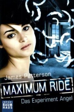 Das Experiment Angel - Patterson, James