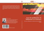 Essai de modélisation de &quote;Nollywood&quote; au Cameroun