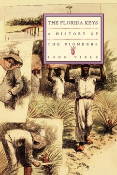 A History of the Pioneers - Viele, John