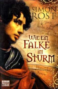 Wie ein Falke im Sturm - Rost, Simon X.