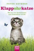 Klappohrkatze