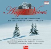 Angel Voices Angel Voices