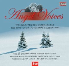 Cover Angel Voices
