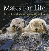 Mates for Life: Devoted Couples from the Animal Kingdom