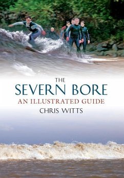 The Severn Bore - Witts, Chris