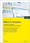 BilMoG in Beispielen: Anwendung und Übergang - Praktische Empfehlungen für den Mittelstand (NWB kompakt)