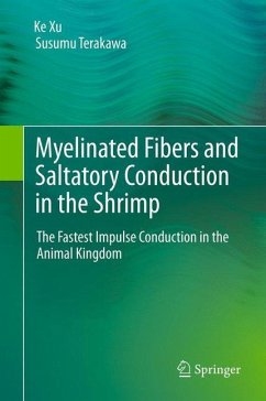 Myelinated Fibers and Saltatory Conduction in the Shrimp - Xu, Ke;Terakawa, Susumu