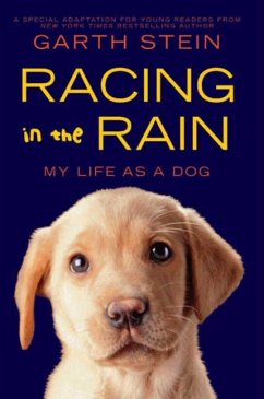 Racing in the Rain - Stein, Garth