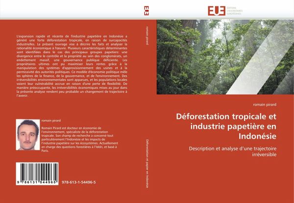 Déforestation tropicale et industrie papetière en Indonésie