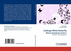 Cabbage White Butterfly Pieris brassicae (Linn.) - Hasan, Fazil;Shafiq Ansari, M