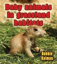 Baby Animals in Grassland Habitats - Kalman, Bobbie