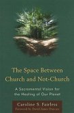 The Space Between Church and Not-Church: A Sacramental Vision for the Healing of Our Planet