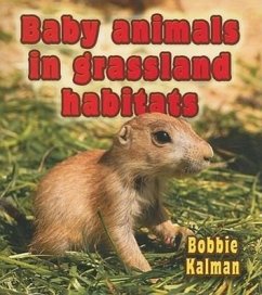 Baby Animals in Grassland Habitats - Kalman, Bobbie