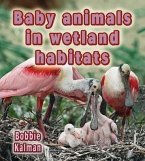 Baby Animals in Wetland Habitats