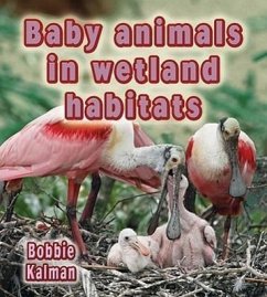 Baby Animals in Wetland Habitats - Kalman, Bobbie