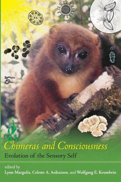 Cover Chimeras and Consciousness