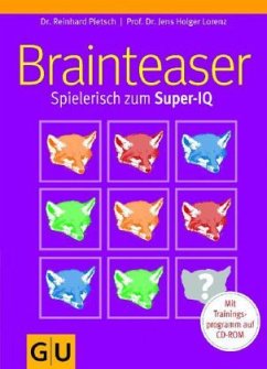 Brainteaser, m. CD-ROM - Pietsch, Reinhard;Lorenz, Jens H.